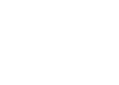 NWT COLLECTIVE